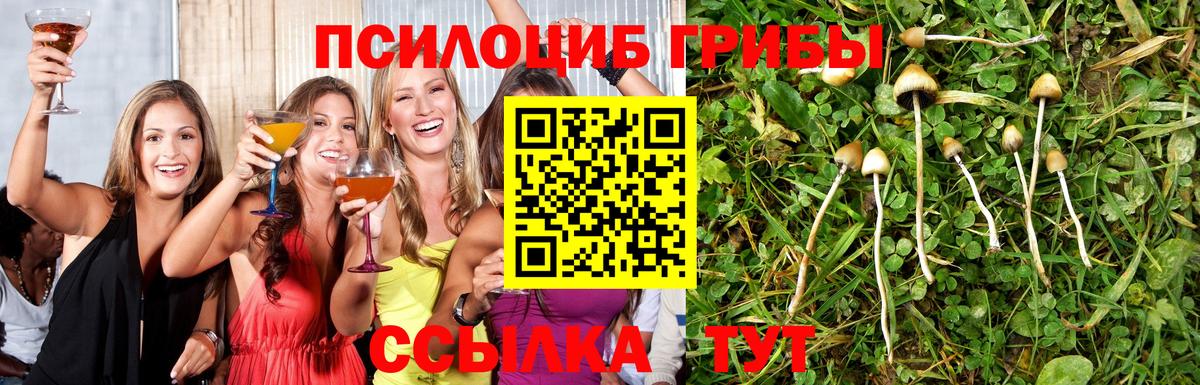 купить наркотик  Вход с VPN  Нижнеудинск  Галлюциногенные грибы GOLDEN TEACHER  Псилоцибиновые грибы MAGIC MUSHROOMS 