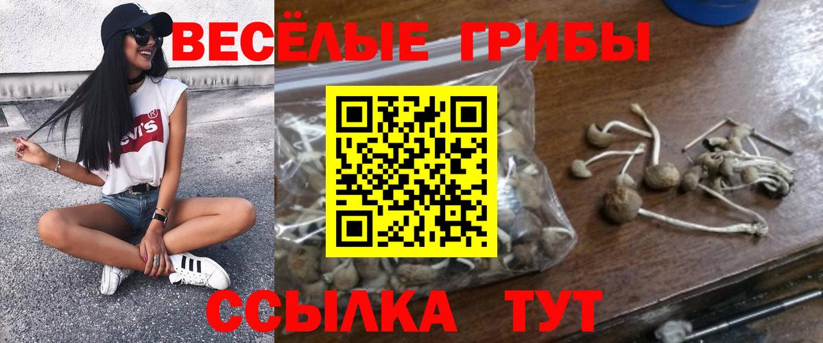 Галлюциногенные грибы GOLDEN TEACHER Нижнеудинск